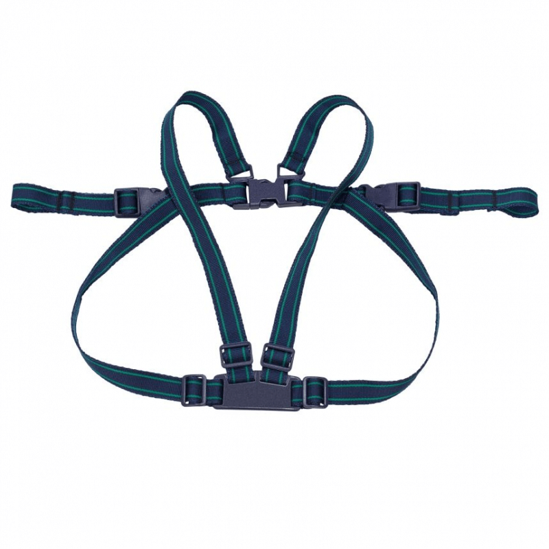 Safety 1st Baby Safety Harness Blue Unisex