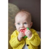 Dr Brown's Coolees Watermelon Teether 1