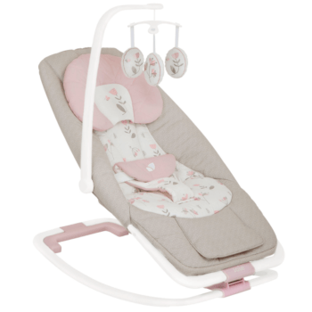 joie wish bouncer review