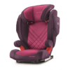 recaro power berry monza Nova 2