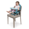 POCKET SNACK BOOSTER SEAT HYDRA 4