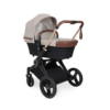 Ickle Bubba ASton Rose Stone 1