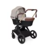 Ickle Bubba ASton Rose Stone 1