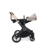 Ickle Bubba ASton Rose Stone 10