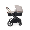 Ickle Bubba ASton Rose Stone