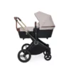 Ickle Bubba ASton Rose Stone