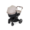 Ickle Bubba ASton Rose Stone 2