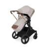 Ickle Bubba ASton Rose Stone 5