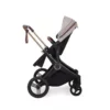 Ickle Bubba ASton Rose Stone 8