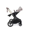 Ickle Bubba ASton Rose Stone 9