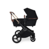 Ickle Bubba Aston Rose