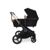 Ickle Bubba Aston Rose