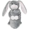 hiphop the rabbit