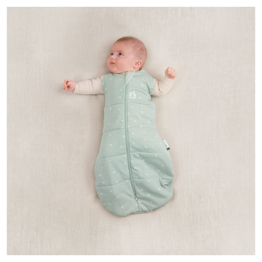 Ergopouch swaddle cheap 2.5 tog