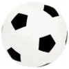 arden_grace_super_football_goal_wall_challenge_8