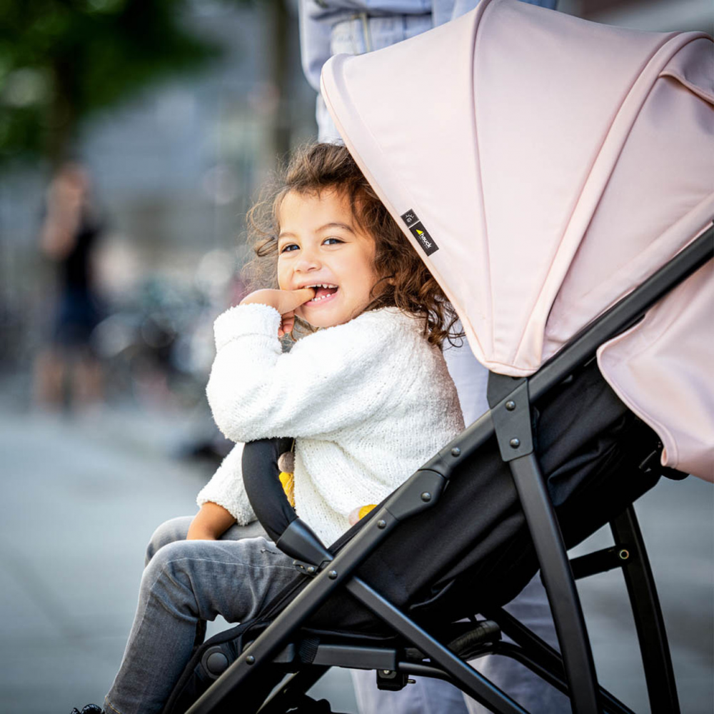 Hauck Rapid 4R Plus Pushchair - Rose - Image 4