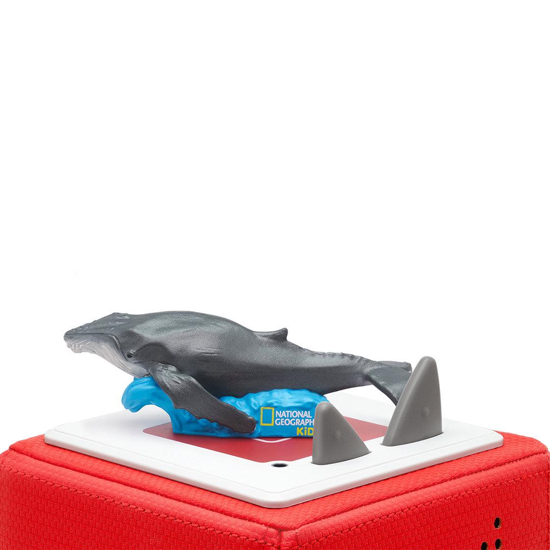 Tonies National Geographic Learning Bundle Penguin Whale