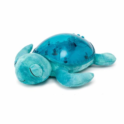 Tranquil-Turtle-9001-Aqua-1