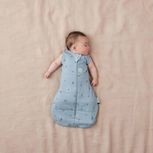 Ergopouch winter best sale