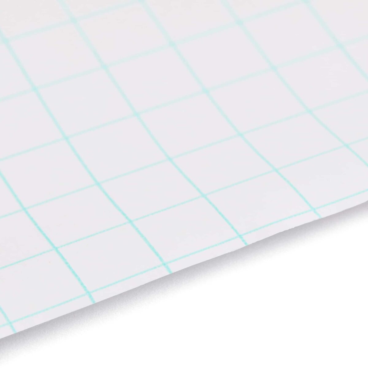 ergoPouch Blockout Window Blind | 2 pack - Image 9