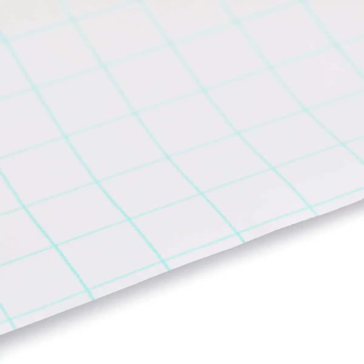 ergoPouch Blockout Window Blind | 2 pack - Image 9