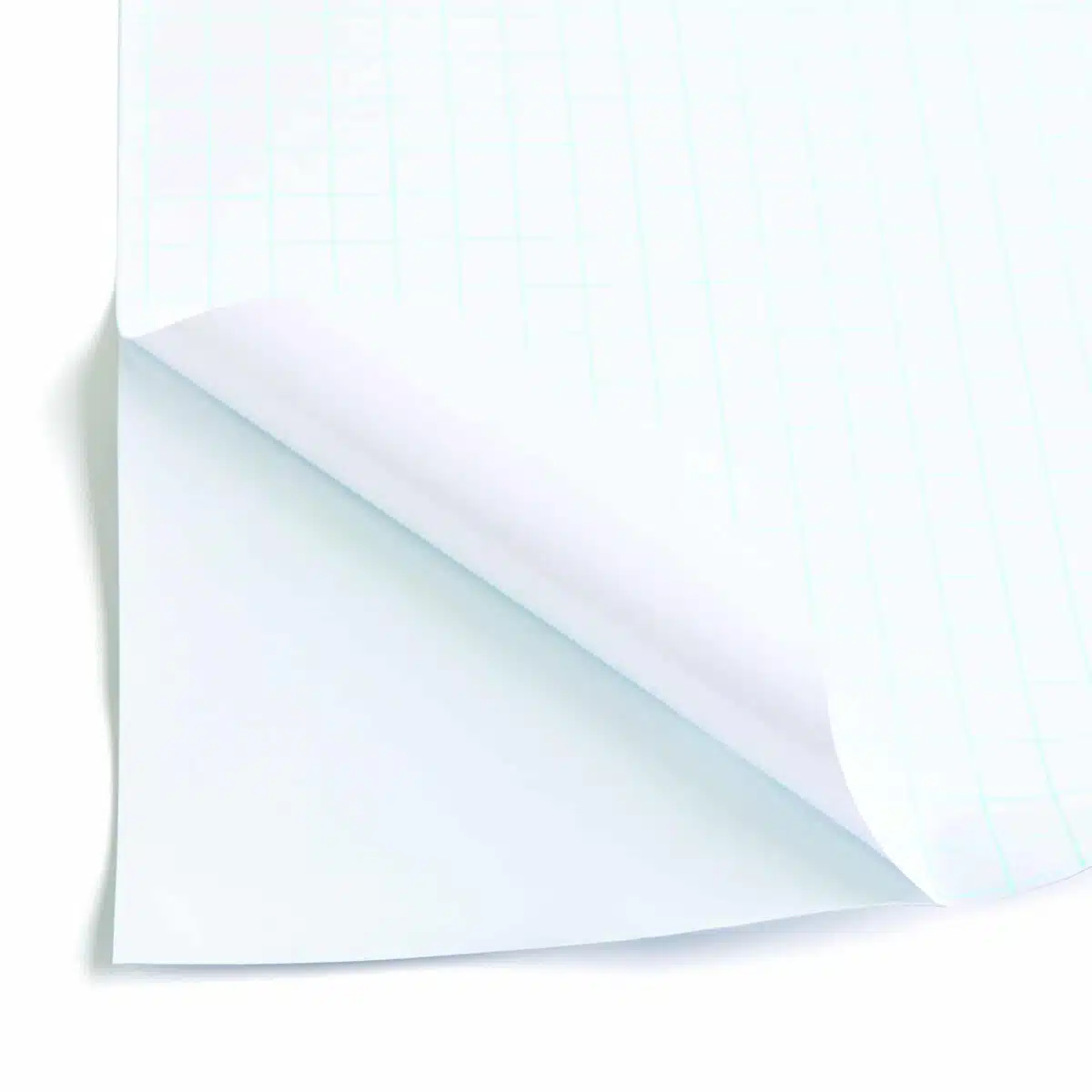 ergoPouch Blockout Window Blind | 2 pack - Image 8