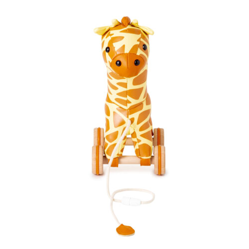 Little Big Friends Pull Along Animal Toy