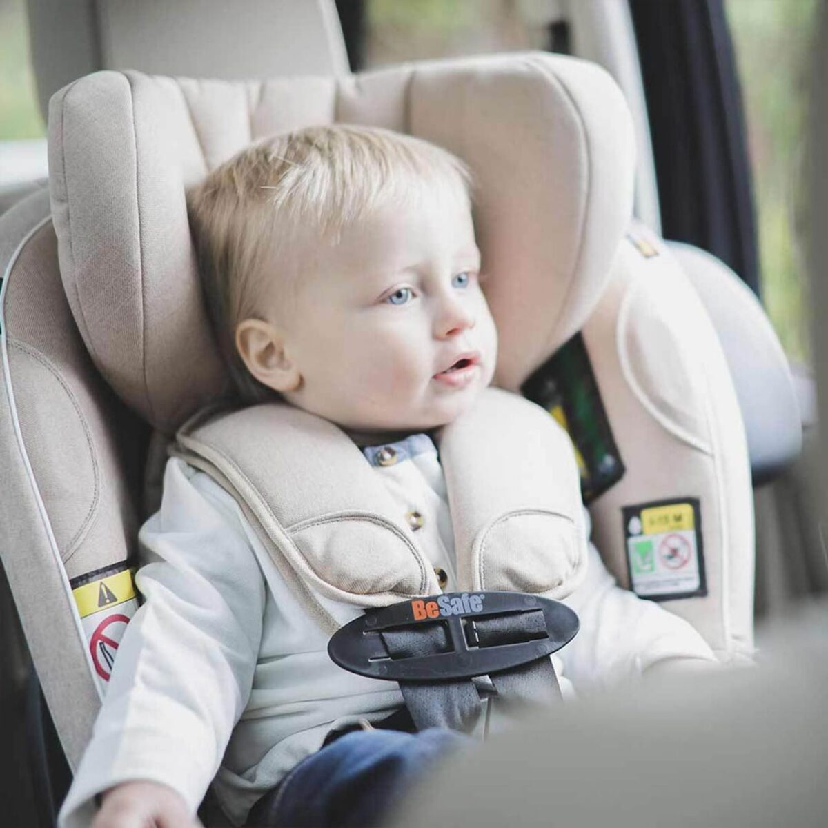 BeSafe Belt Collector - Image 2