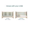 Convertible Kuba Cot Bed Pickled Oak & Sage Weave