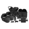 iCandy Peach 7 Studio Twin Complete Bundle Zenith