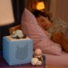 tonies-sleepy-friends-whale-lullabies-flat-6