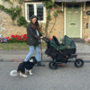 Out’n’About Single Nipper V6 Pushchair