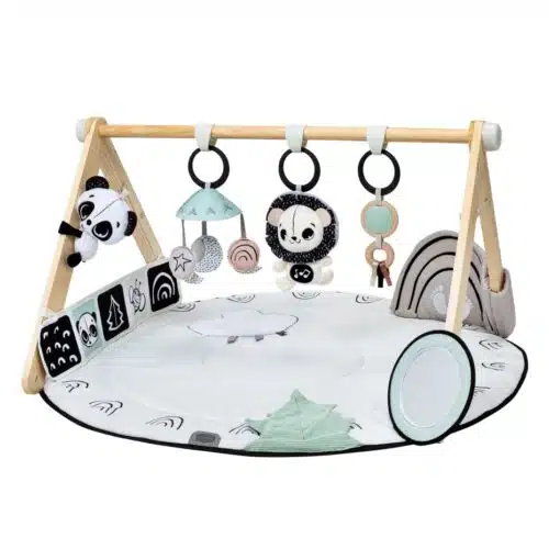 Tiny Love Décor Luxe Gymini Playmat - Black and White