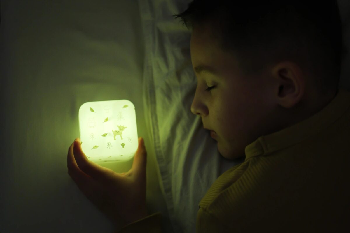 Cloud B Cube B Plug In Night Light - Forest - Image 4