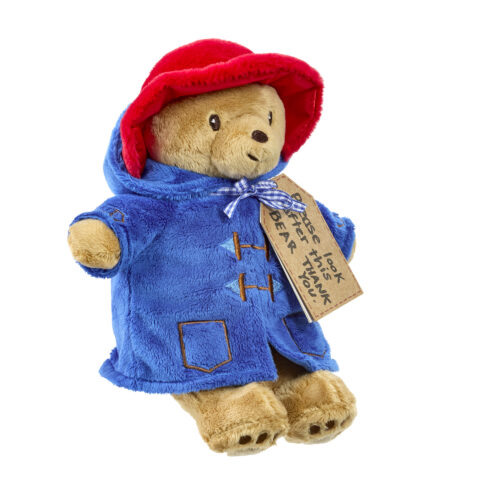 Rainbow Designs My First Paddington Soft Toy